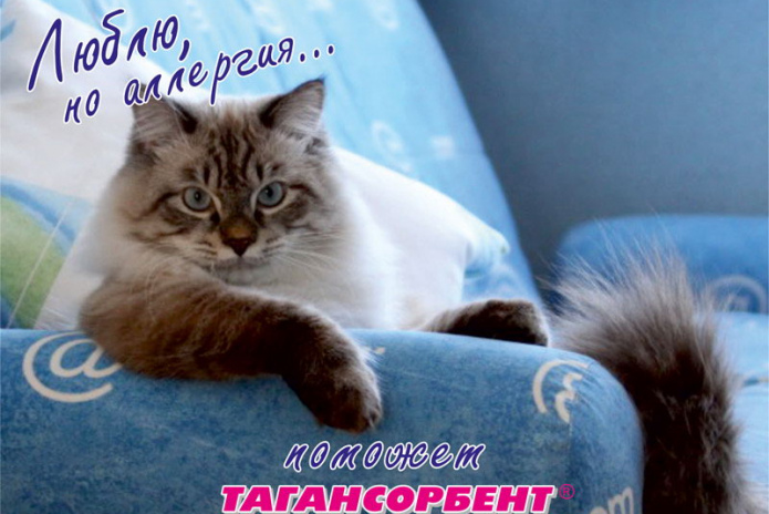 Выплата ущерба ремонтом - PR